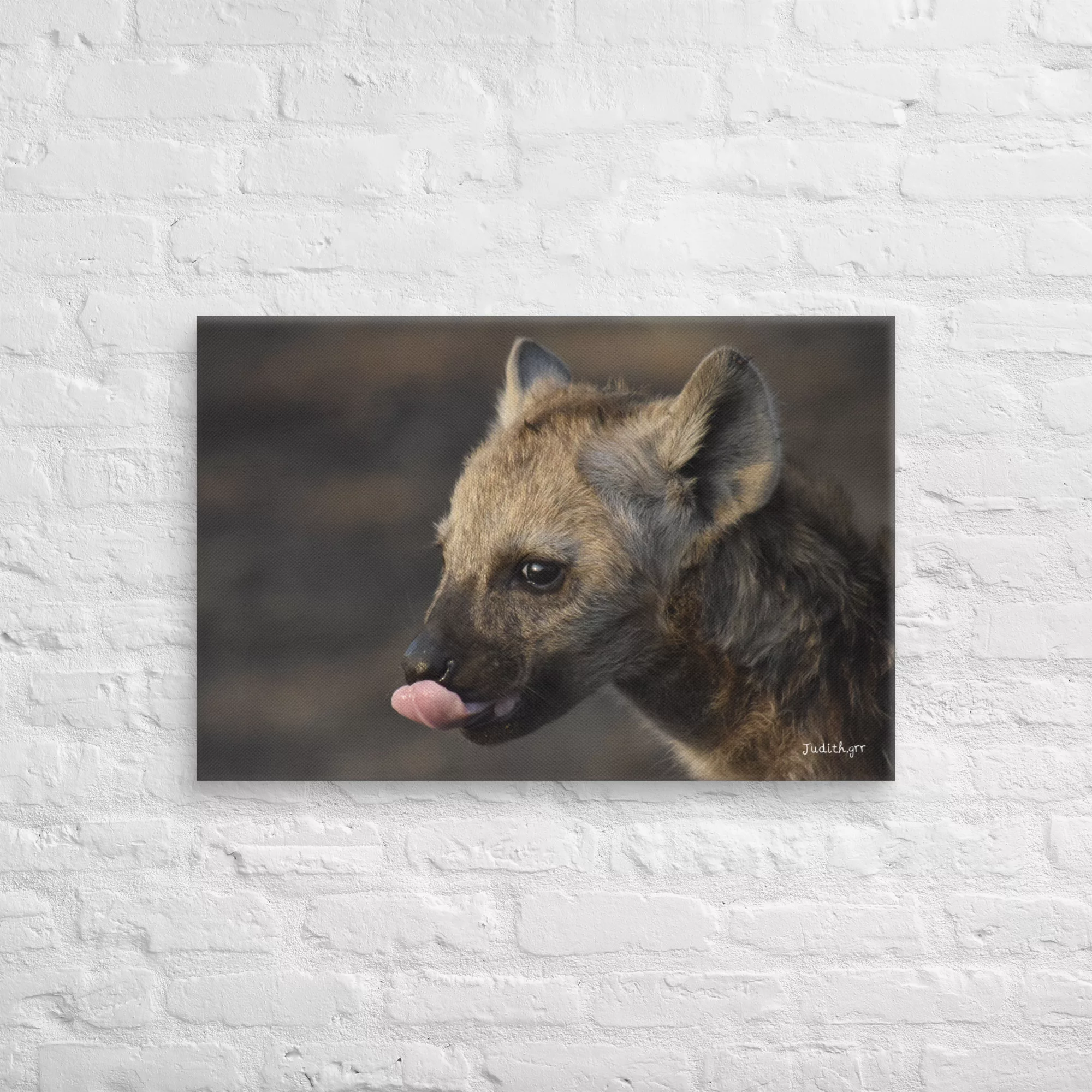 Lienzo Retrato baby Hiena - Imagen 2