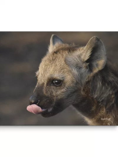 Lienzo Retrato baby Hiena