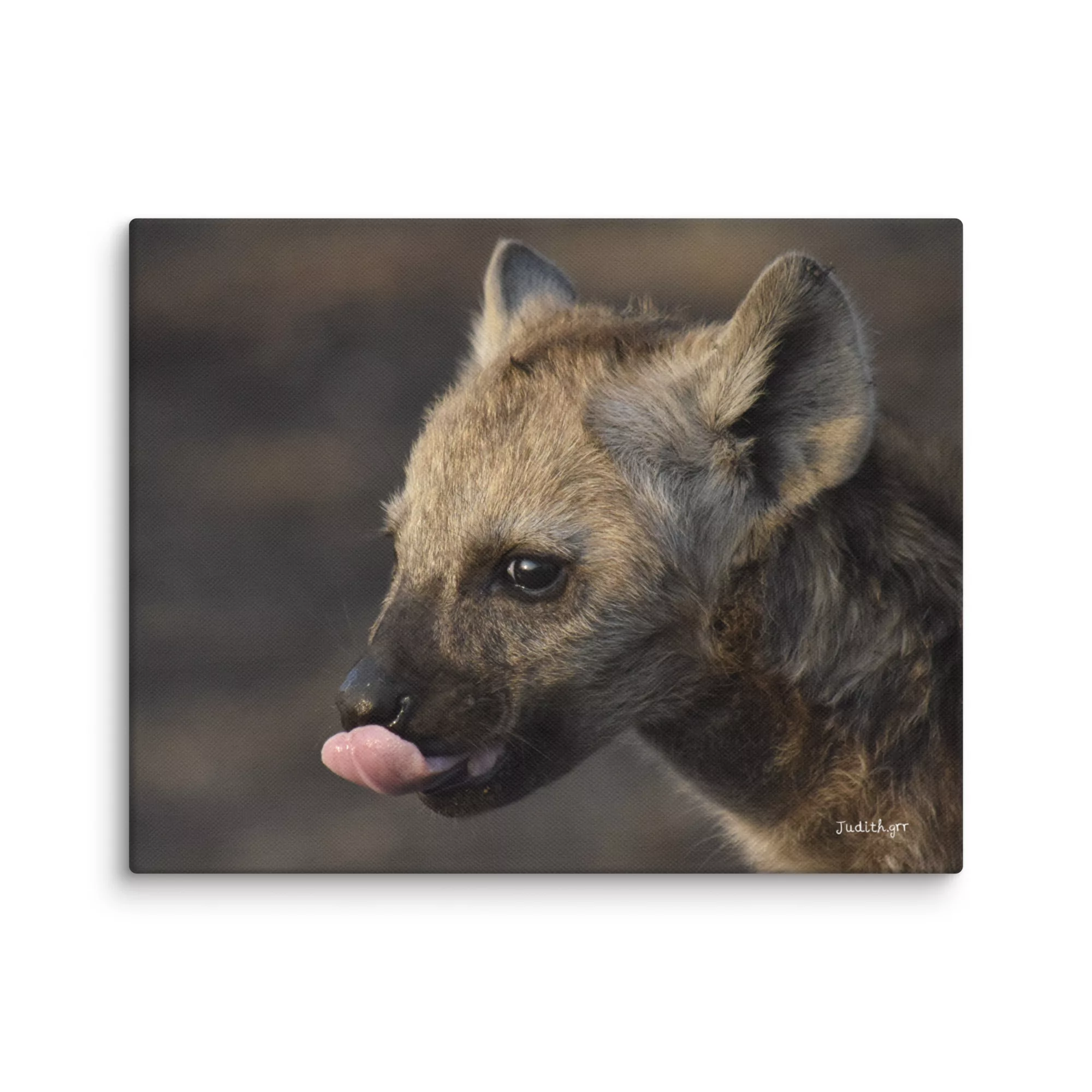 Lienzo Retrato baby Hiena