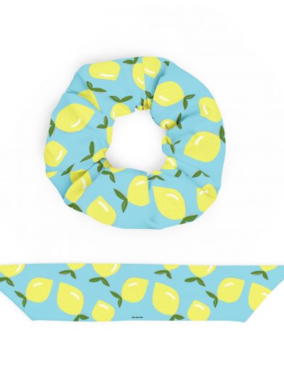 coletero reciclado azul limones